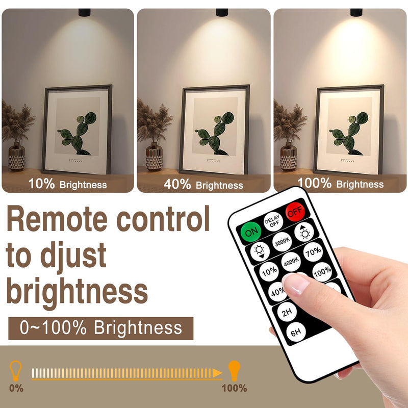 2 Pack Dimmable Spot Lights Indoor with Timer and Remote, 3000K/4000K/5000K Adjustable LED Up Lights,3W Plant Spotlight Indoor Uplighting, Indoor Accent Light for Plants