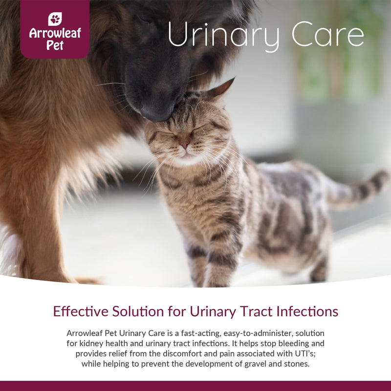 Urinary Care for Cats and Dogs | for Urinary Tract Support | Herbal Tincture 100mL - PawsPlanet Australia