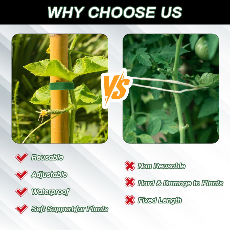 Velcro Plant Tape - 1 Roll Plant Supports for Growing Reusable Adjustable Cut-to-Length 0.6 in x 32.8 ft Indoor Outdoor Use Ideal for Gardening, Tomato, Rose Bushes, Fruit Trees, Green