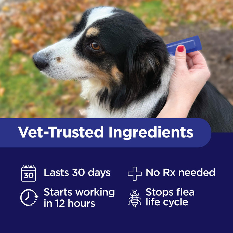 TevraPet Activate II Flea and Tick Prevention for Dogs | 4 Count | Extra Large Dogs 55+ lbs | Topical Drops | 4 Months Flea Treatment (Pack of 2) X-Large 55+ lbs (Pack of 2)