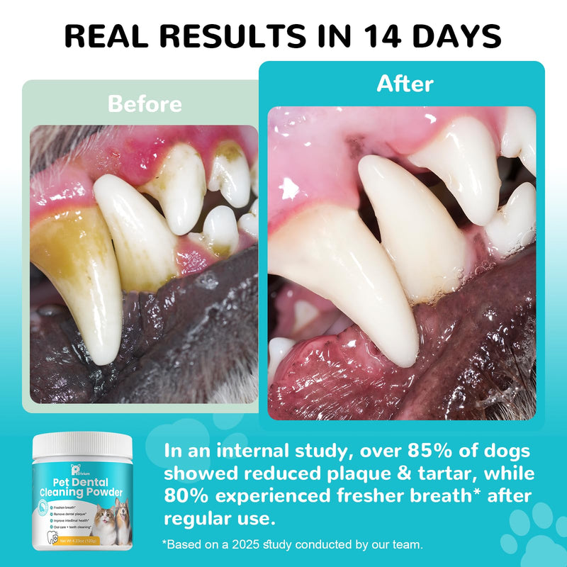 Dog Teeth Cleaning Powder, Dental Powder for Dogs Teeth Cleaning and Breath Fresh, Bad Breath Fresher & Tartar Remover with Enzyme, Probiotics. Plaque Off Pet Tooth Cleaning 120 Grams 60 Servings