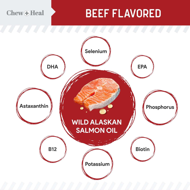 Pure Wild Alaskan Salmon Oil for Dogs - 16 oz. Beef Flavored Salmon Oil - Pump Cap Bottle - Contains Omega-3 and 6, EPA, and DHA for Healthy Skin and Coat - Toxin Free - PawsPlanet Australia