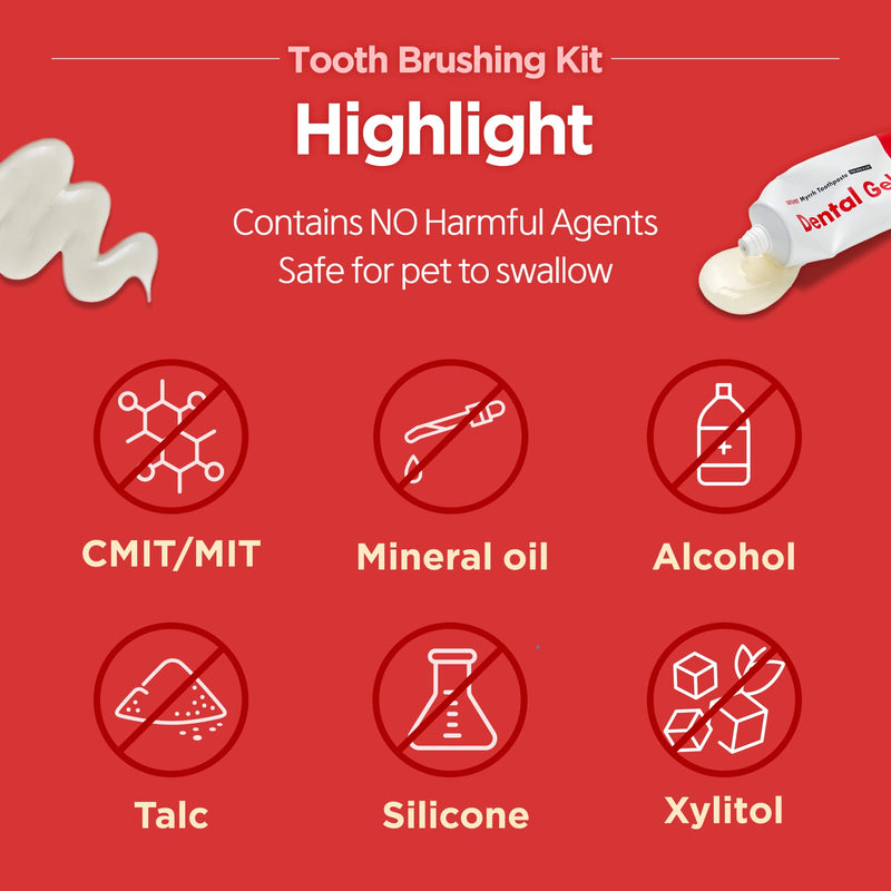 JAYU PET Firm Bristles Tooth Brushing Kit - Dental Gel 1ea + Dental Care Brush 1ea | Teeth Cleaning & Breath Freshener, Removing Plaque and Tartar, Pet Dental Hygiene, Dog Easy Teeth Brushing