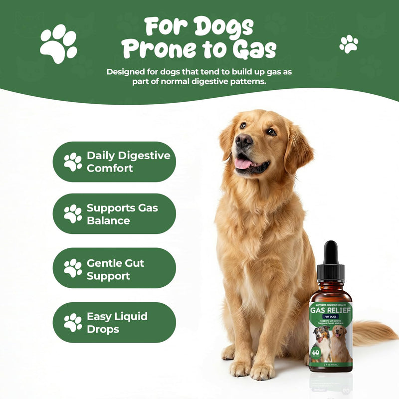 Gas Relief Supplement for Dogs Liquid, Supports Digestive Comfort & Gut Balance, Bacon Flavor, Daily Digestive Care Drops, 2 fl oz (60 mL)