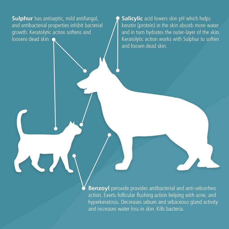 [Australia] - Pet MD Benzoyl Peroxide Medicated Shampoo for Dogs and Cats, Effective for Seborhhea, Dandruff, Mange, Itch Relief, Acne and Folliculitis, Citrus Scent, 12 oz. 