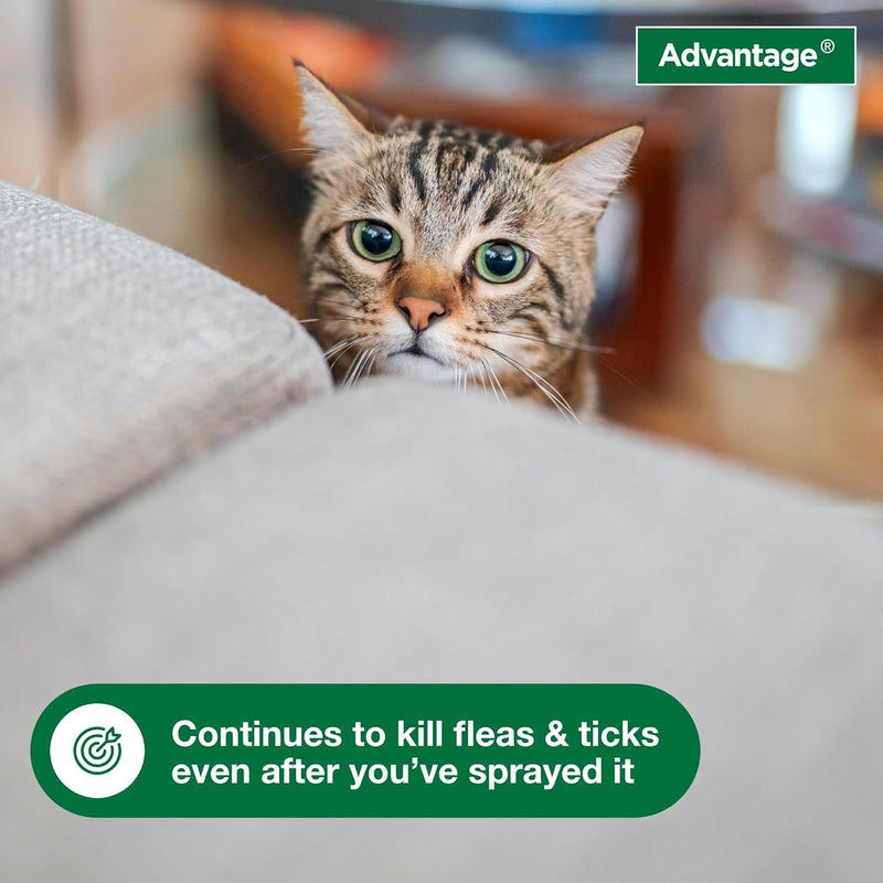 Bundle of Advantage II Vet-Recommended Flea Treatment & Prevention | Cats 5-9 lbs. + Advantage Household Spot & Crevice Spray 24 oz. Small Cat + Household Spray
