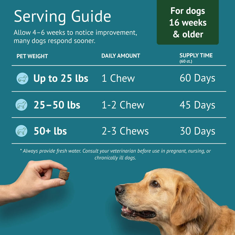 Dog Allergy Chews for Itchy Skin, Hot Spots, Paw Licking Relief & Itchy Ears – Quercetin, Turmeric, Probiotics & Colostrum – Made in USA – 60 Count Allergy Relief