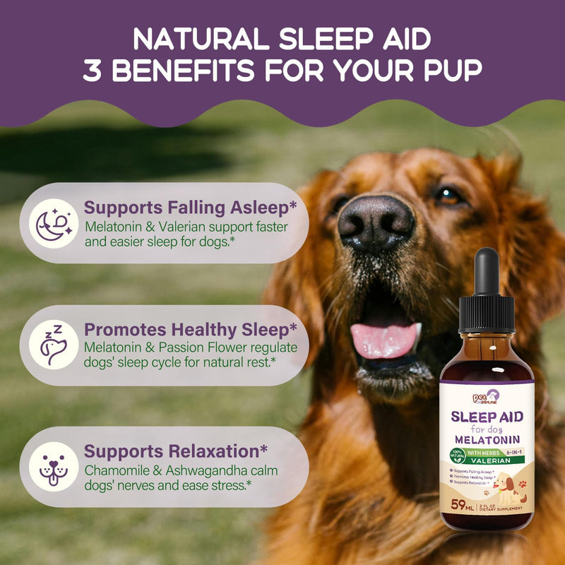 Dogs Sleep Aid Liquid Drops, Melatonin for Small & Large Dogs, Natural Herbal Supplement Support Falling & Healthy Asleep, and Relaxation w/Valerian, Chamomile and Reishi. 2 oz
