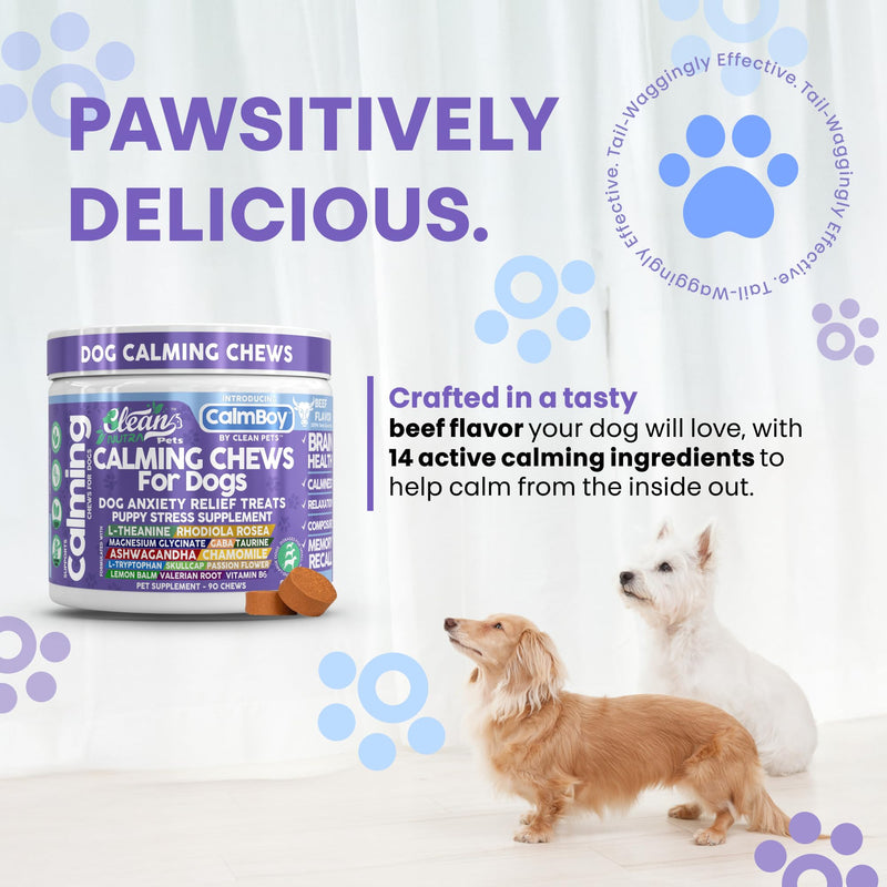 Clean Nutra Calming Chews for Dogs, Dog Anxiety Relief Supplement, L Theanine Ashwagandha Rhodiola GABA Magnesium Valerian Natural Ingredients, 90 Chews, Beef Flavor