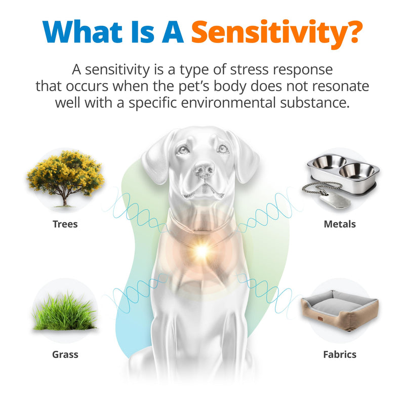 5Strands Pet Environmental Sensitivity Test, 282 Items Tested, at Home Intolerance Test for Dogs & Cats - Fabrics, Grass, Trees, Pollen, All Ages & Breeds, Pet Health Check, Results in 4 Days