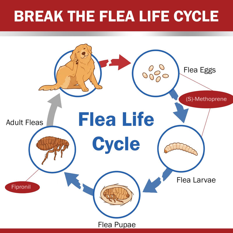 Flea and Tick Prevention for Large Dogs, Flea Drops for Dogs 45 to 88 lbs, 3 Month Support for Skin & Coat Health, Fast Acting, Dog Flea and Tick Treatment, Supplement
