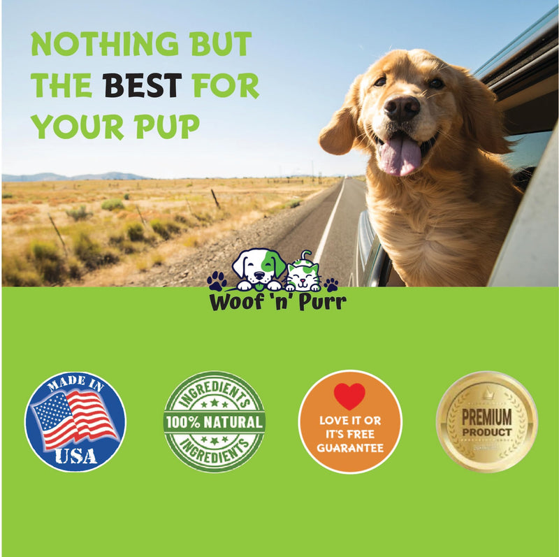Woof 'n' Purr Dog Ear Infection Treatment - Dog Ear Infection - Ear Infection Treatment for Dogs - Dog Ear Infection Treatment Antibiotic - Dogs Ear Infection Treatment - 1 fl oz - Bacon Flavor - PawsPlanet Australia