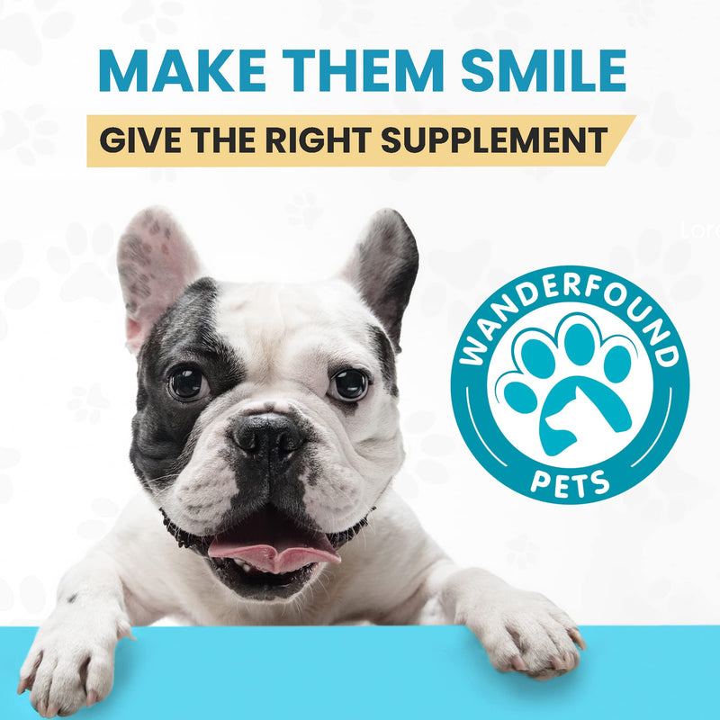 Wanderfound Pets 10-in-1 Dog Multivitamin, Chewable Dog Vitamins with Glucosamine, D3, and MSM, Dog Health Supplies for Immune System and Joint Health, Liver Flavor, 60 Tablets - PawsPlanet Australia