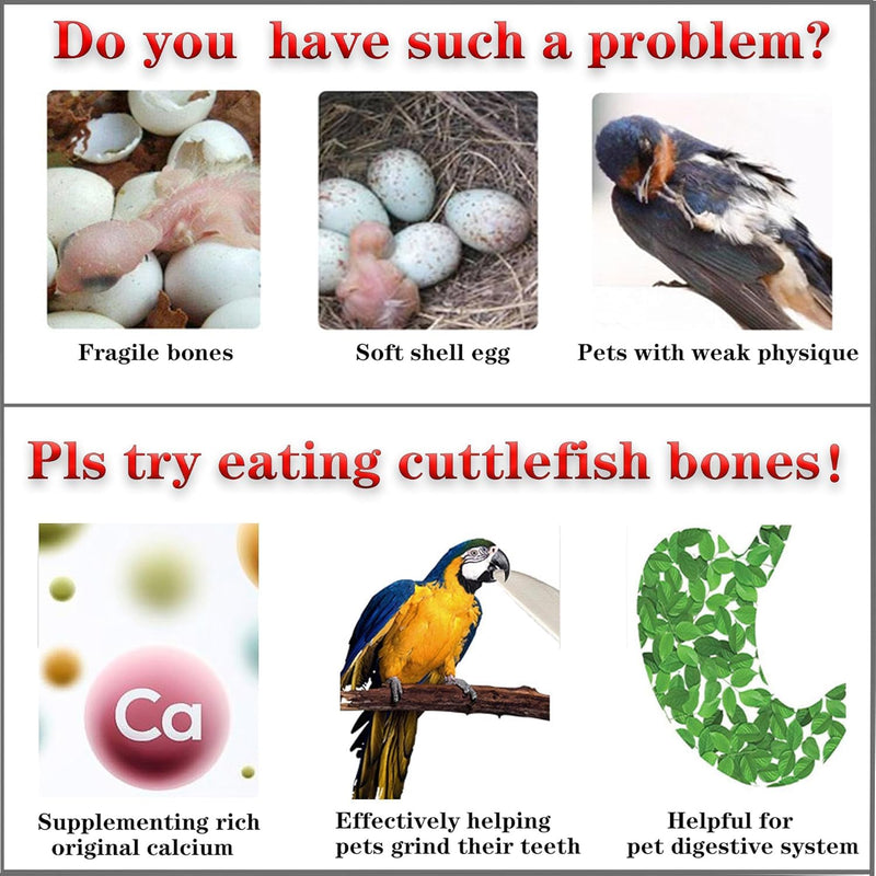 Bird Cuttlebone for Parakeets Cuttlebone for Birds - 100% Natural Cuttlefish Bone Bulk Chew Toy Bird Bites Calcium Stone for Canaries Tortoises,Snails,Reptiles,Parrots,Cockatiel 30PCS