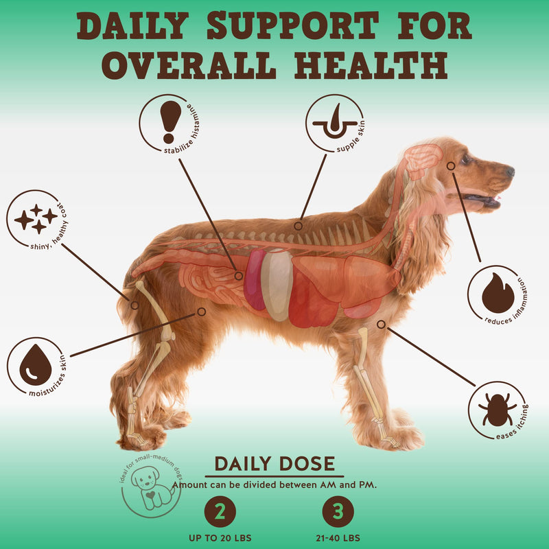 Jack&Pup Dog Allergy Chews - Bark Buddies Aller-Care Soft Chew Bites Itch Relief for Dogs & Allergy Support for Dogs - Dog Immune Supplement, Dog Skin Allergies Treatment and Anti Itch for Dogs 60ct 60 Chews - PawsPlanet Australia