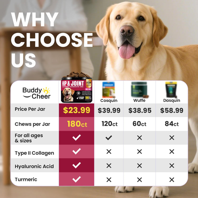 Glucosamine for Dogs Hip and Joint Supplement Chews & Probiotics for Dogs - Dog Probiotics with 5 Enzymes & 4 Prebiotics