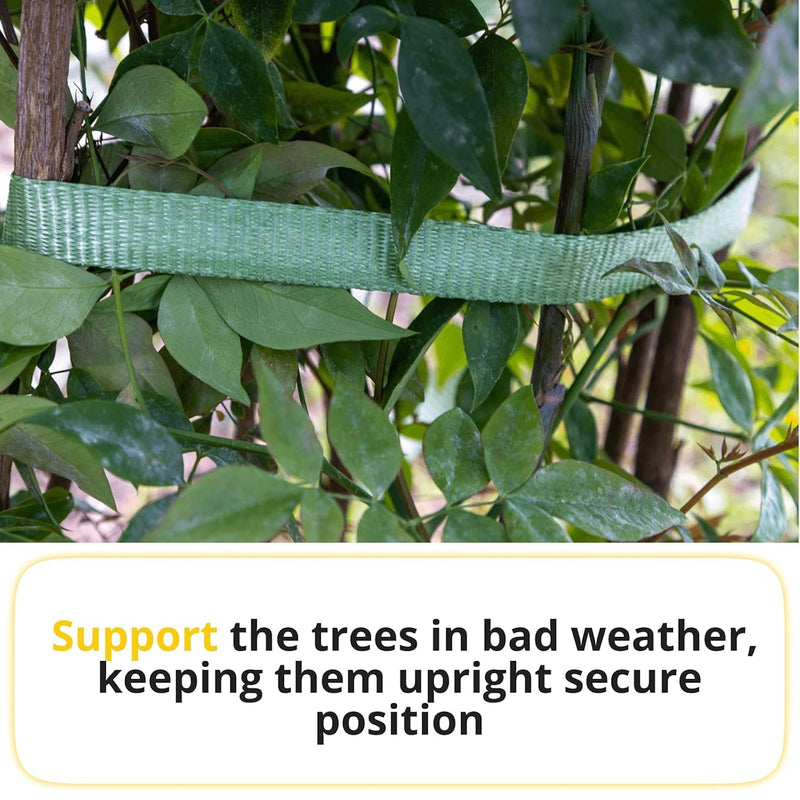 Green Tree Tie Webbing Strap 3/4" x 250' - Heavy Duty Tree Straps for Staking, Guying, Securing & Outdoor Use - Garden Ties Webbing Flat Rope for Heavy Plants & Trees Support by IDL Packaging Green
