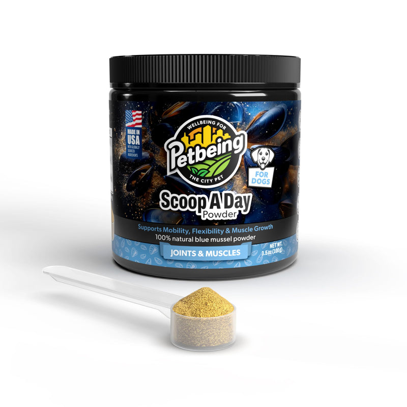 Scoop A Day Dog Supplement - Blue Mussel Powder | Mobility, Muscle, Joints Support | Omega 3 & 6 for Healthy Digestion and Immune Boost - Made in USA (3.5 oz)