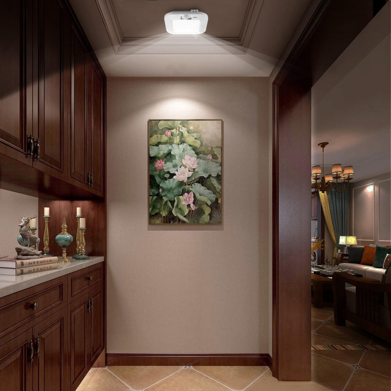 Motion Sensor Ceiling Light Battery Operated, 180LM 6000K Battery Closet Lights Motion Sensor, 48LED Wireless Ceiling Light Motion Activated for Pantry Cabinets Shed, Cool White,2-Pack 2Pack 6000K