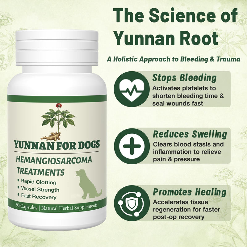 yu nan Capsules for Dogs – Natural Herbal Quick Stop Bleeding & Blood Support for Hemangiosarcoma, Hemoabdomen, Pericardial Effusion, Cancer Bleeding, Ulcers & Bloody Stools– 90 Capsules