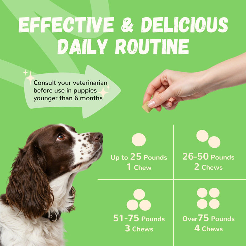 Furrolika 60 Count Probiotics Soft Chews – Made in The USA –Supplements for Gut Health, Digestive Support, Immune Support & Diarrhea Relief – Beef Flavor Dog Probiotic