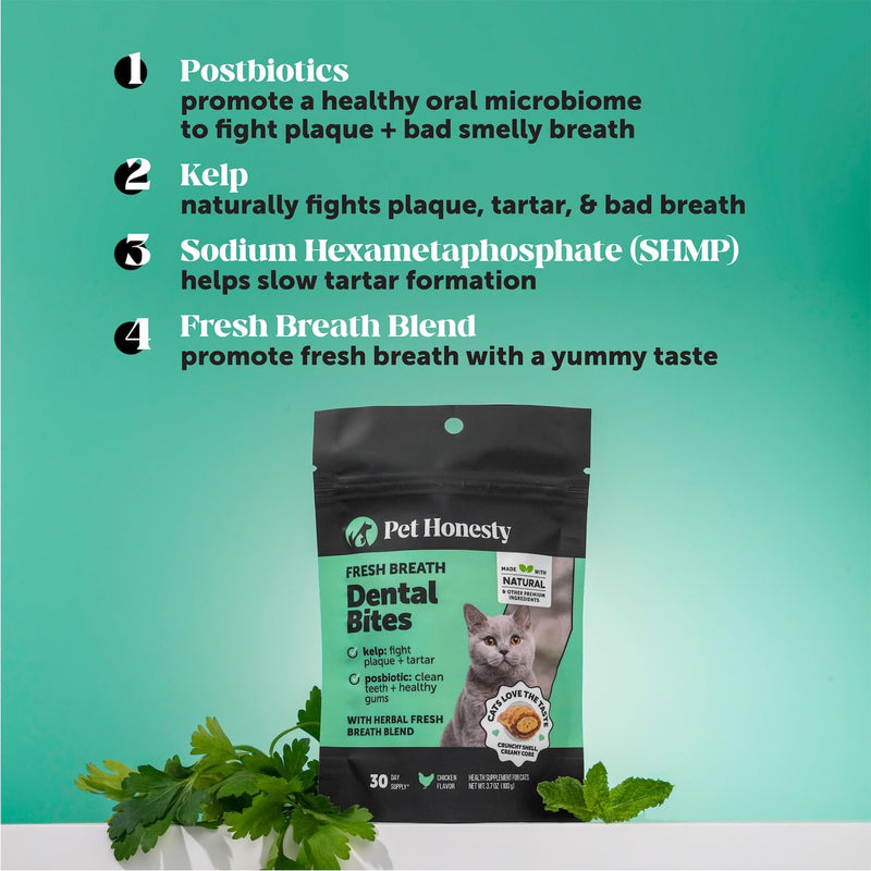 Fresh Breath Dental Bites for Cats – Crunchy & Creamy Cat Dental Treats for Fresh Breath, Tartar & Plaque Control – Dual-Texture Cat Oral Care Bites for Bright Teeth & Healthy Gums – 30 Day Supply 30-Day Supply