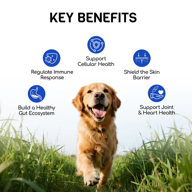 Dog Allergy Relief Chews - Dog Itching Skin Relief - 180 Chews - Anti-Itch, Hot Spots, Paw Licking - Immune Health - Omega 3 Fish Oil - Dry Itchy Skin and Coat Supplement