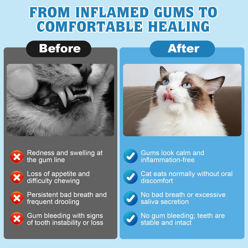 Yakucho Oral Health for Cat, Cats Gingivitis Treatment, Reduce Gum Inflammation, Redness & Pain, Combats Gum Disease, Natural Plant-Based Active Formula, Cat Oral Care, Gums Health Treatment