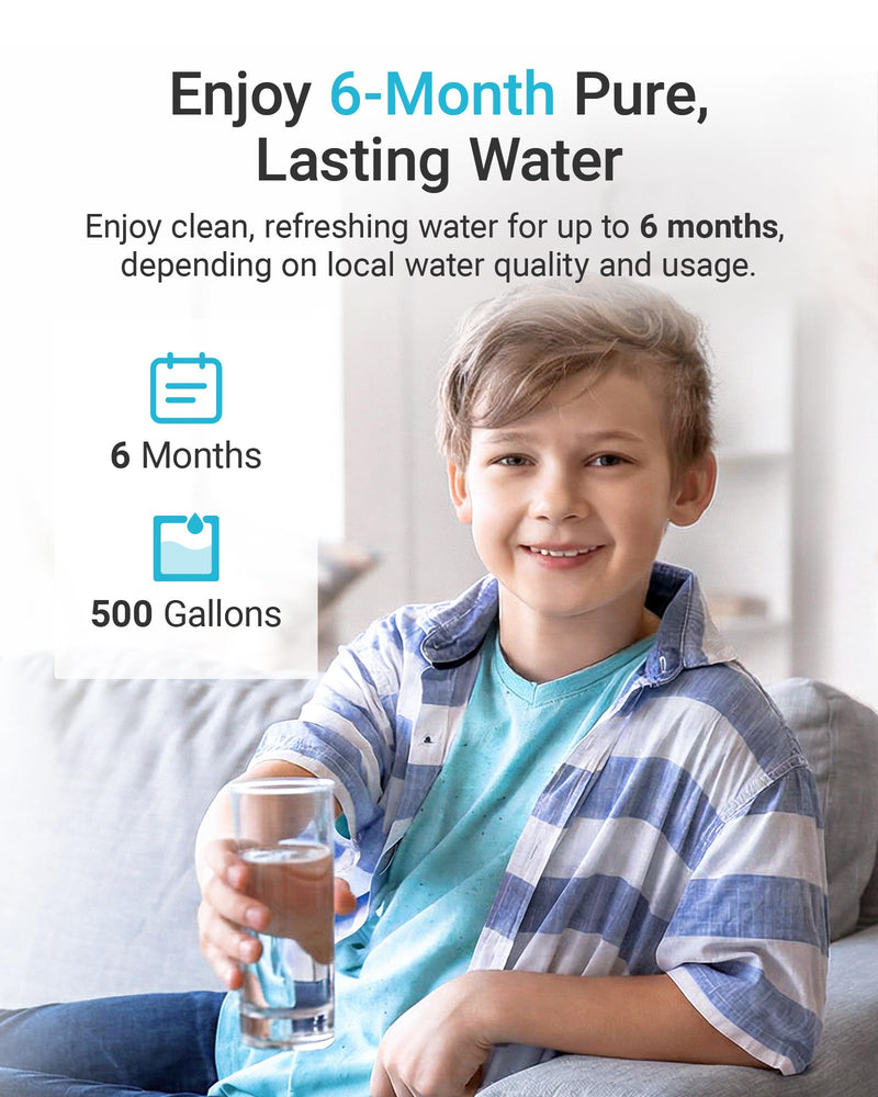 AQUA CREST F-601R Water Filter Replacement for InSinkErator® F-601R, 2 Pack