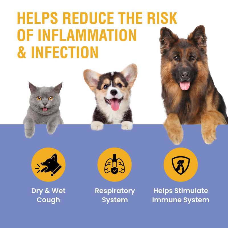 Kennel Cough Support for Dogs & Cats – Helps with Dry, Wet & Barking Cough – Herbal Pet Respiratory & Throat Support, Supports Breathing & Clear Airways – Natural Liquid Supplement – 8oz 8 Ounce