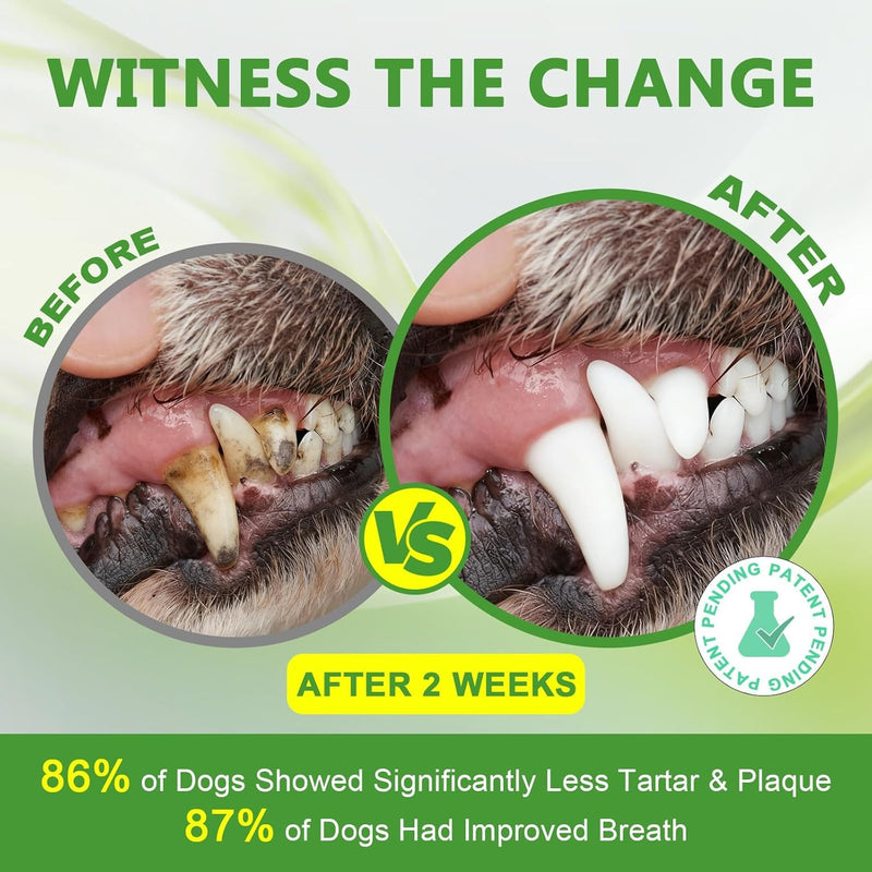 Dog Dental Powder for Plaque Removal - Gentle Dog Breath Freshener & Teeth Cleaning Powder Dental Care for All Dogs Green