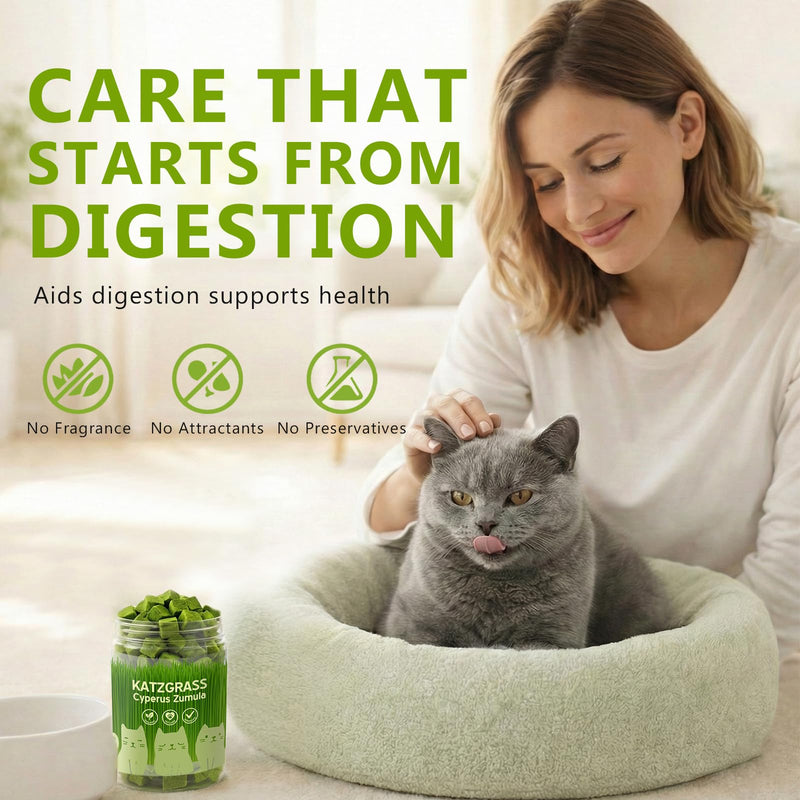 Cat Grass Treats for Indoor Cats - Freeze Dried Cat Grass Crunchy Snacks for Hairball Control and Digestive Support - Natural Kitty Grass Supplement - 4.23 oz 4.23 Ounce (Pack of 1)