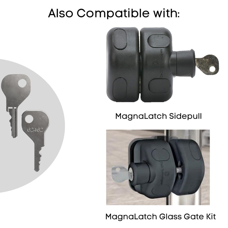 Key Replacement for Magna Latch Series 2 with Downward Facing Keyhole (Old Style) - Key 62462 for MagnaLatch & LokkLatch Pool Gate Models with Robby's Cloud Key Float Keychain (6 Pack) 6 Magna Latch Series 2 Key