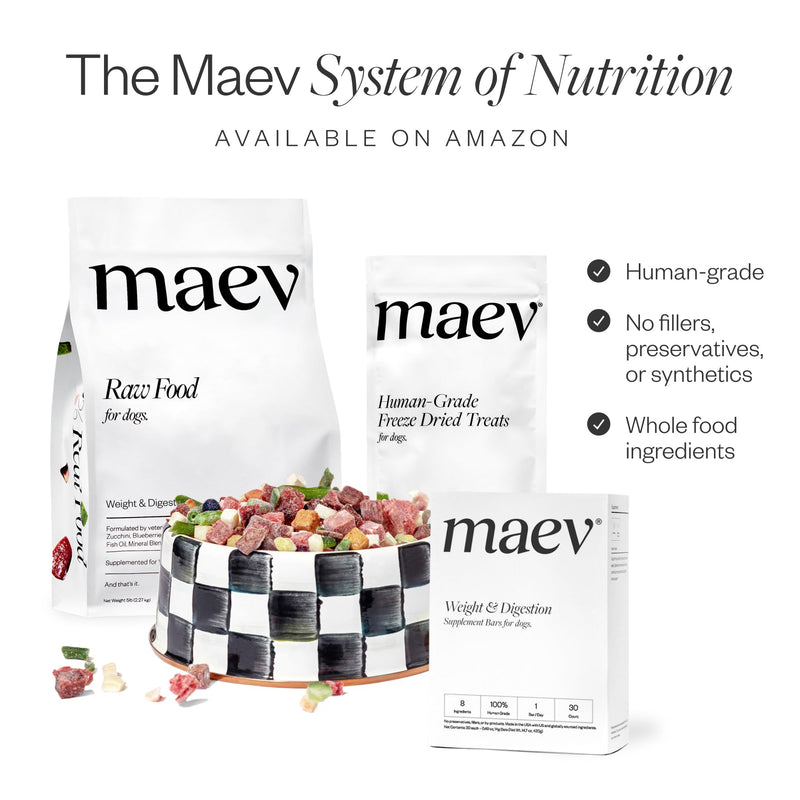 MAEV Human-Grade Hip & Joint Supplement Bars | Natural Support for Healthy Joints & Mobility, 30 Count 30 Count (Pack of 1)
