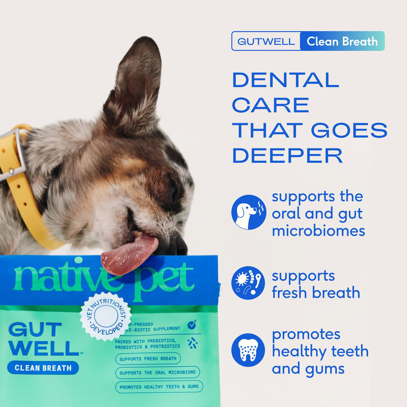 Native Pet Oral & Joint Health Bundle: Hip & Joint Supplement for Dogs - Supports Cartilage, Muscles & Anti-Inflammatory & GutWell Clean Breath - Dog Breath Freshener - 60 Scoops