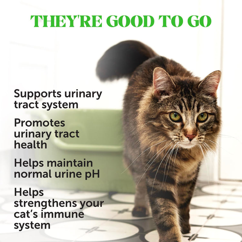 Cat Urinary & Daily Health Virtual Bundle – Urinary Tract Health Chews + Multivitamin Chews, 30 Day Supply Each