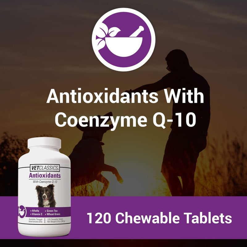 Vet Classics Antioxidants with Coenzyme Q-10 for Dogs, with Alfalfa, Green Tea, Vitamin C, & Wheat Grass, 120 Chewable Tablets - PawsPlanet Australia