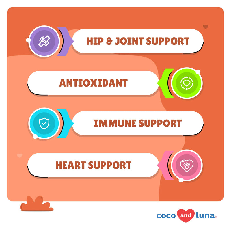 Cranberry + Turmeric for Dogs Bundle - Urinary Tract & Anti Inflammatory Support - UT Support, Joint Support, Antioxidant Combo - PawsPlanet Australia