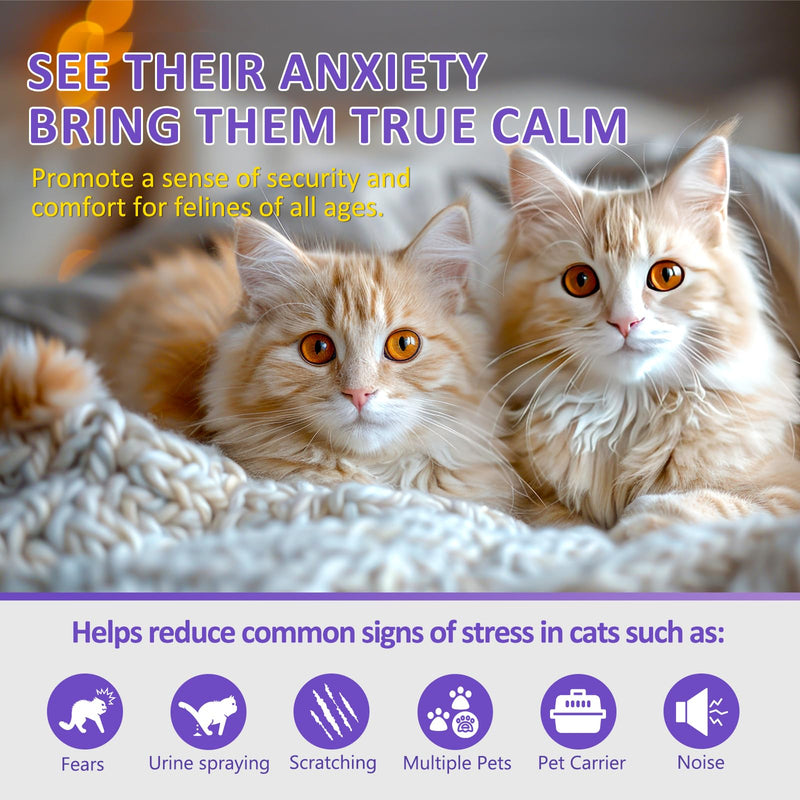 OcePor 1 Refill Solutions,1 Plugs-Cat Calming Diffuser, Pheromone Diffuser to Calm Cats, Cat Anxiety Relief