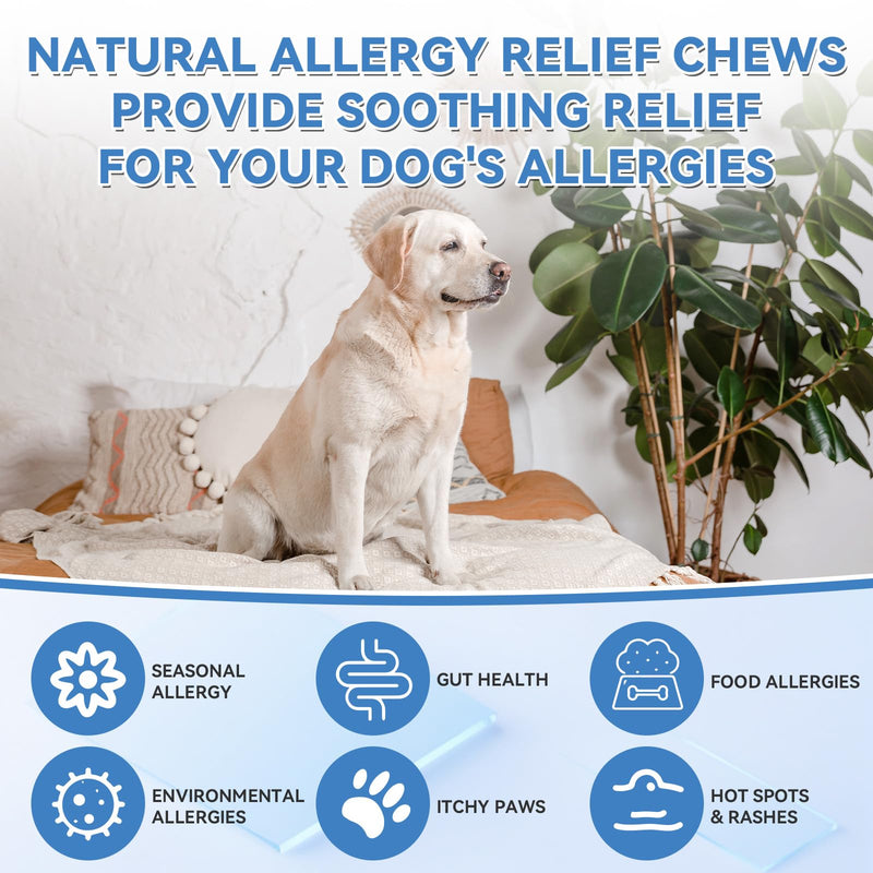 WEALLIN Dog Vitamins & Dog Allergy Relief Chews
