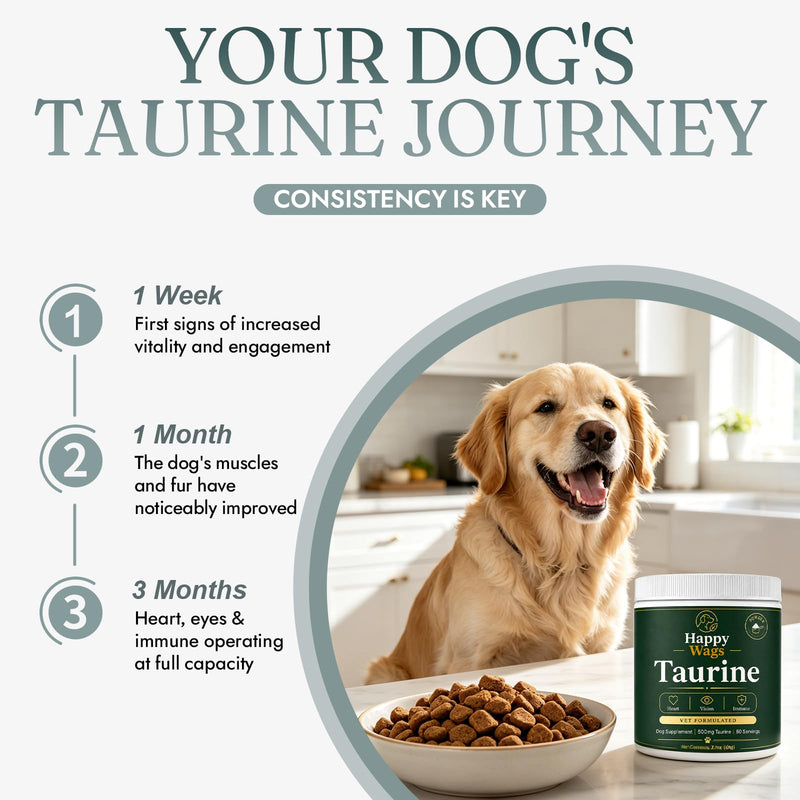Happy Wags Taurine for Dogs - 500mg Taurine Powder Supplement for Heart, Vision, Immune & Healthy Aging Support, Tasteless Daily Dog Supplement, 100 Grams
