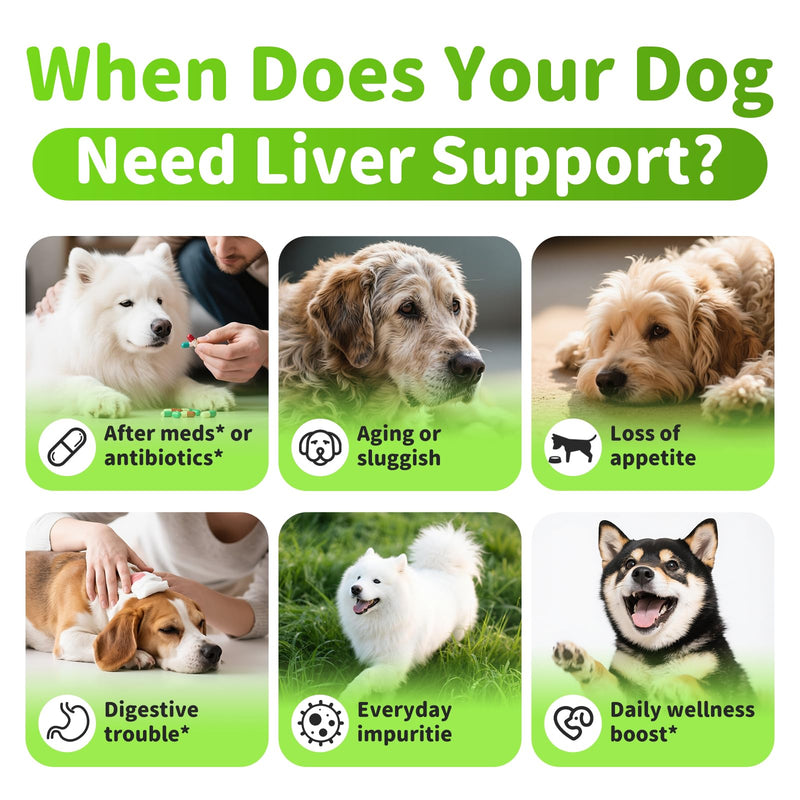 Dog Liver Support Chews - with Milk Thistle (Silybum), Same & NAC - Liver Supplement for Metabolic - Detox - Gut & Immune Health - Beef Flavor, 90 Soft Chews Beef 90 CT