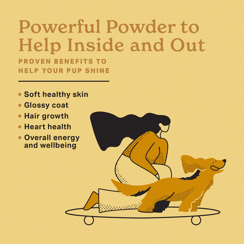 The Missing Link Skin & Coat + Probiotics Supplement 8oz Bag - Powerful Superfood Powder for Dogs Supports Healthy Skin & Glossy Coat, Promotes Hair Growth