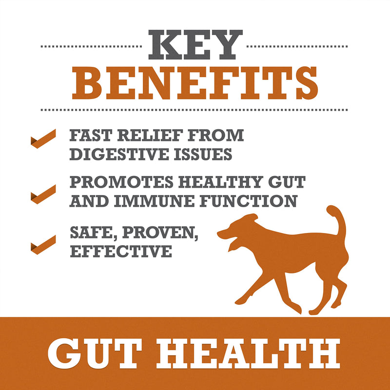 WINPRO All-Natural Allergy Relief and Gut Health Bundle, 120 Chews, Plasma Powered Grain Free Soft Chews Providing Relief from Itchy, Irritated Skin, Digestive Health and Immunity Allergy- Gut Bundle - PawsPlanet Australia