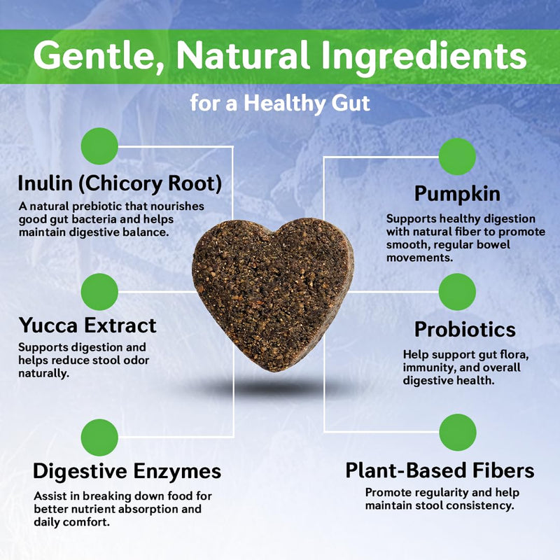 Dog Probiotics Chews – 6 Billion CFU with Prebiotics, Pumpkin, Inulin, Chicory Root & Digestive Enzymes – Supports Gut Health, Digestion, Immunity & Regularity – Natural oft Chews for Dogs