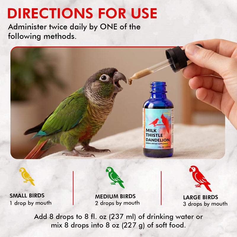 Morning Bird Milk Thistle & Dandelion Extract 2 fl oz – Organic Herbal Supplement for Birds – Supports Liver Health & Natural Detox – Suitable for All Bird Species