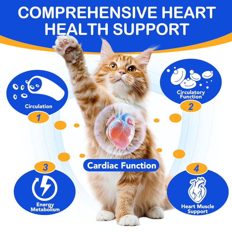 Taurine for Cats, Cat Taurine Liquid Drops Supports Heart Health, Vision & Immune Support, Taurine Supplement for Cats, Kittens, Senior Cats, Easy to Use Liquid Drops, 60 mL