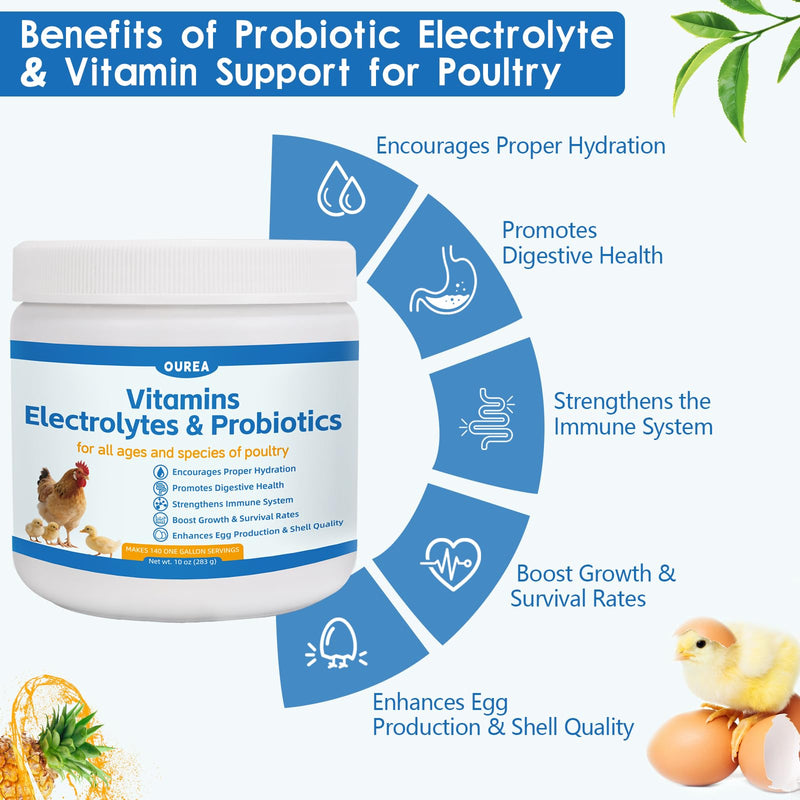 Chicken Vitamin, Electrolyte & Probiotic Supplement - Support Hydration Digestion Immunity Egg Production – Poultry Supplement for Chickens, Ducks, and All Ages of Birds – All-Season Use,10oz Powder