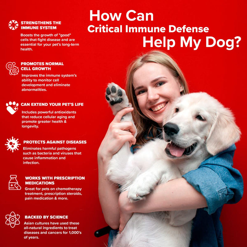Critical Immune Defense for Dogs & Cats; Supports Normal Cell Growth - Turkey Tail, Reishi, Shiitake and Maitake Mushroom Formula with Patented White Turmeric Root Extract Pack of 1 - PawsPlanet Australia