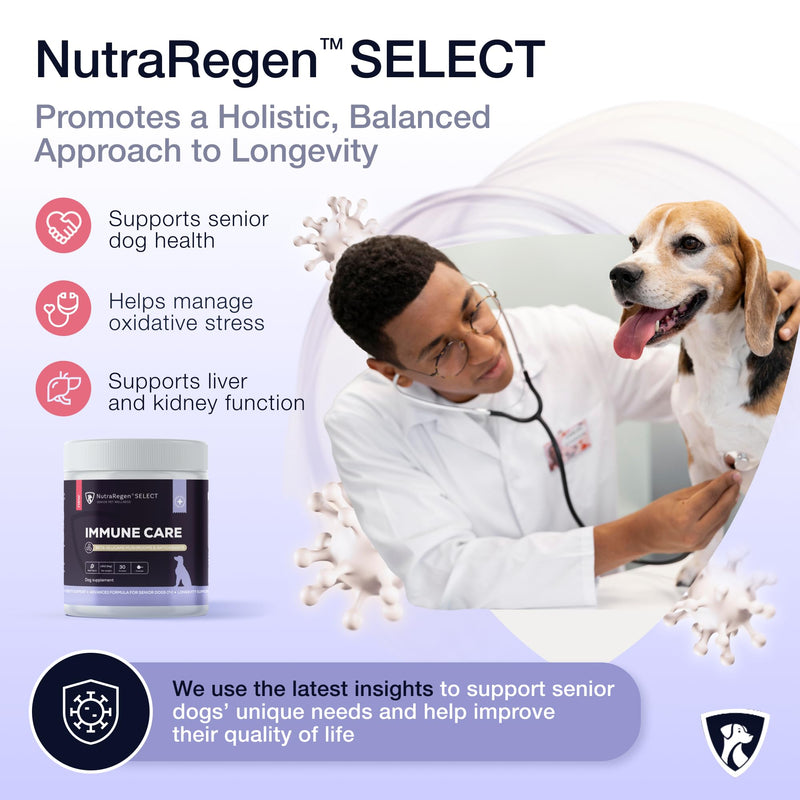 NutraRegen Dog Immune Support Supplement Powder 30 Scoops | Beef Flavored Powder with Turkey Tail Mushroom for Dogs| 30 Scoops Beef Flavor | 1.9 Oz